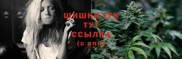 стаф Арсеньев