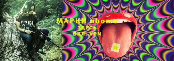 стафф Аркадак