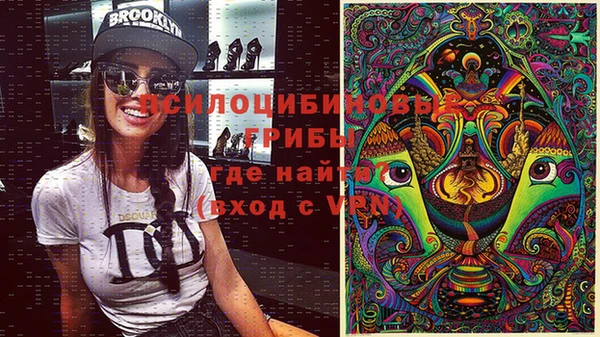 стафф Аркадак