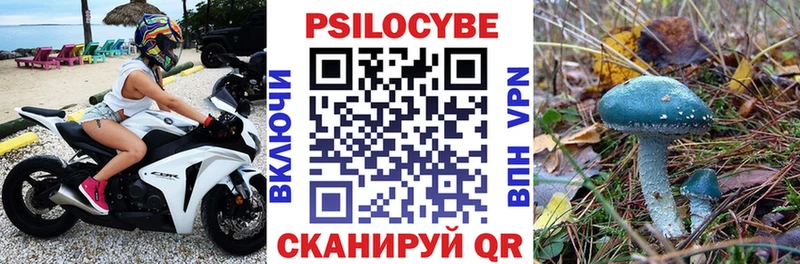 Галлюциногенные грибы Psilocybine cubensis  Оханск 